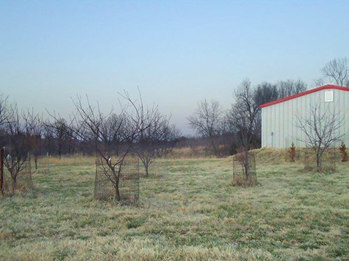Tract 5 - OKLAHOMA LAND & REAL ESTATE AUCTION, 438 +/- Acres offered in 13 Tracts